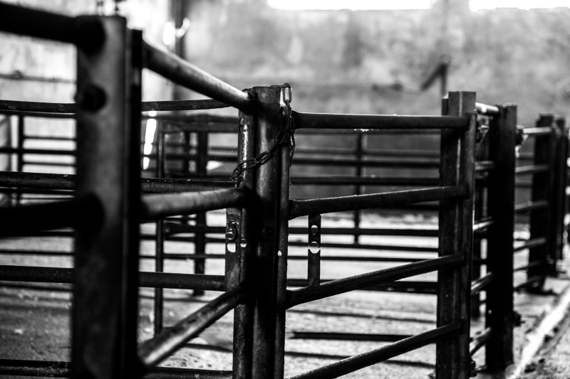 2014 02 06 Abattoir Vesoul IMG 8630